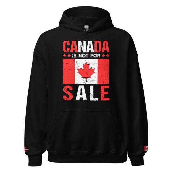 Canada Is Not For Sale 519Hoodies - Image 2
