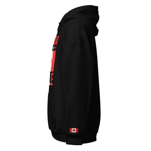 Canada Is Not For Sale 519Hoodies - Image 3