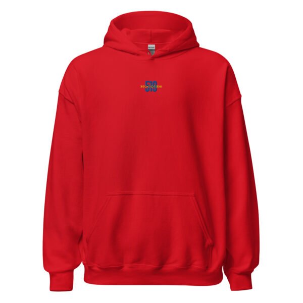 Blue and Yellow Logo on a Red Hoodie
